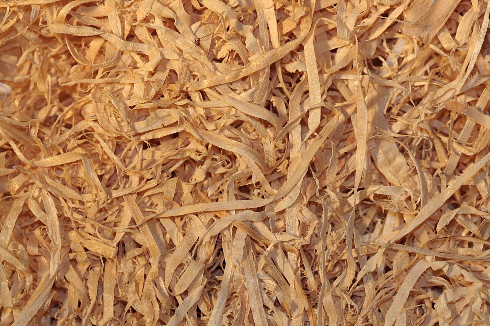 Wood pulp