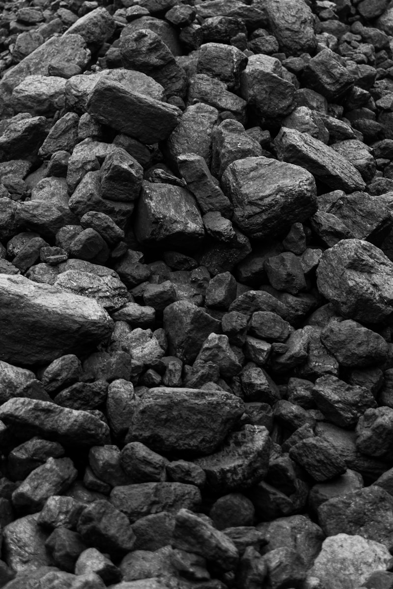 Coal