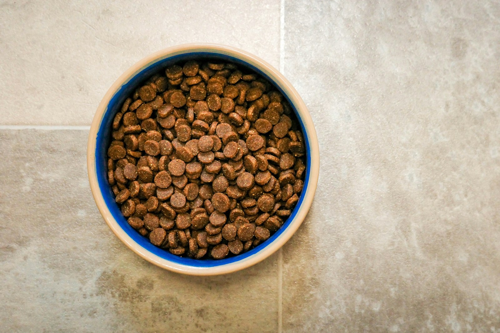 Kibble